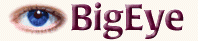 belogo2.gif (4434 bytes)